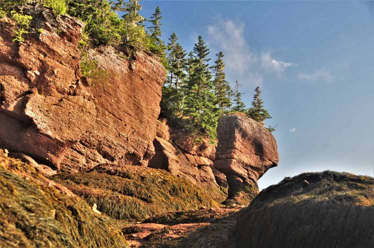 hopewell rocks